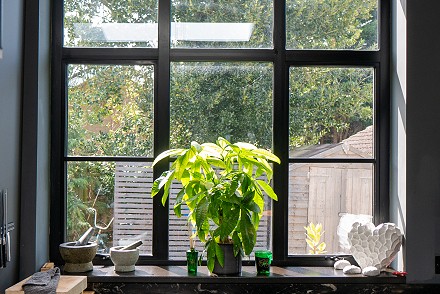 EYG launches new range of Steel-look windows and doors